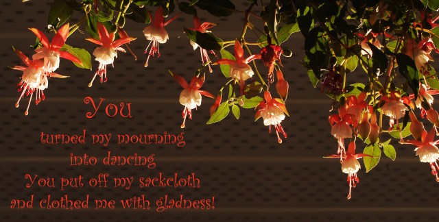 mourning to dancing fushias