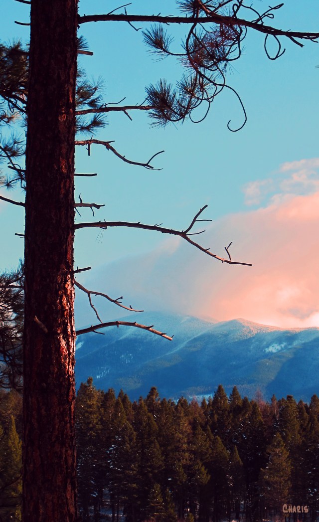 Late Afternoon Hills