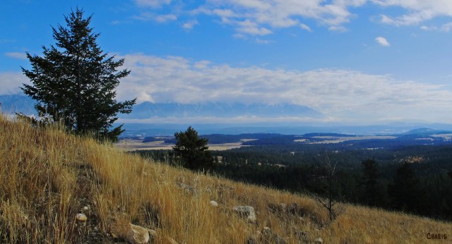 From Eager Hill, November