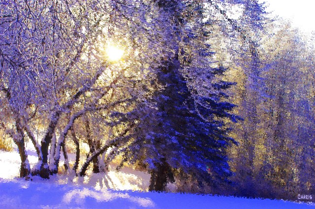 Joy Comes in the Morning