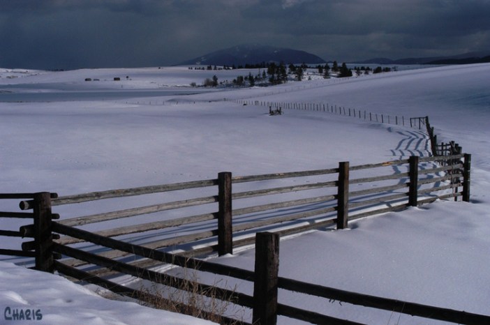 Pighin farm cross fence