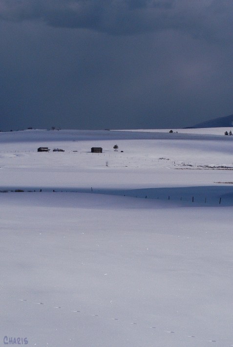 pighin snow farm