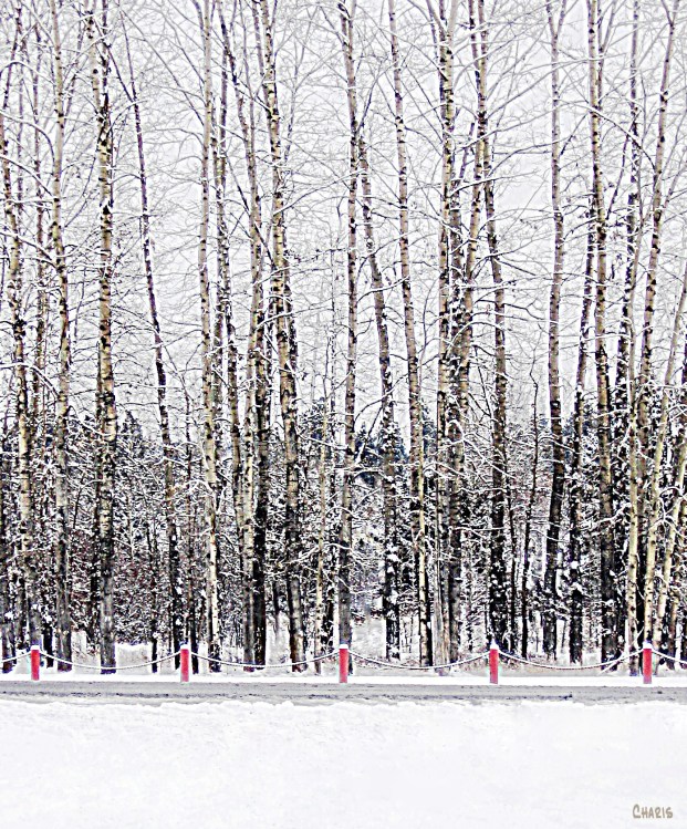 Rules and Guidelines