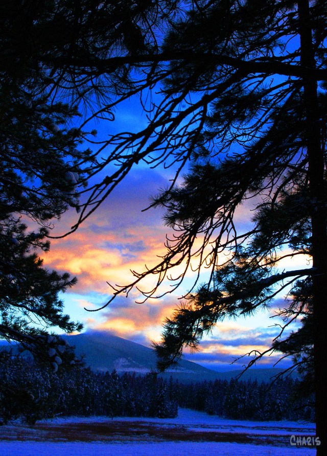Walking home on a Winter Evening