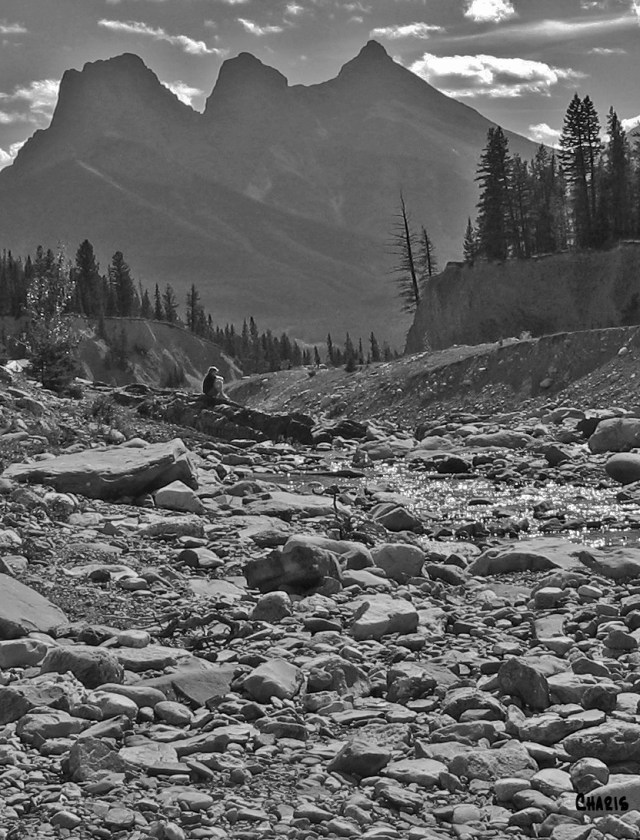 Cougar Creek Thinker