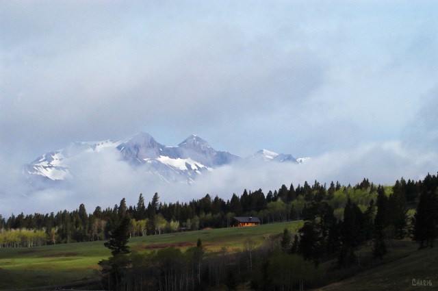Coleman crowsnest mountain cabin ch