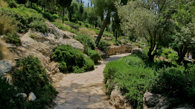 Garden of Gethsemane, Jerusalem
