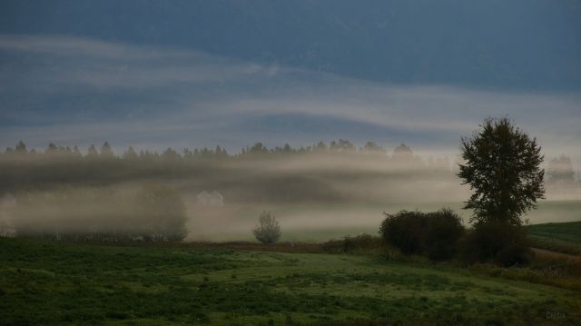 IMG_2009 granaries in mist