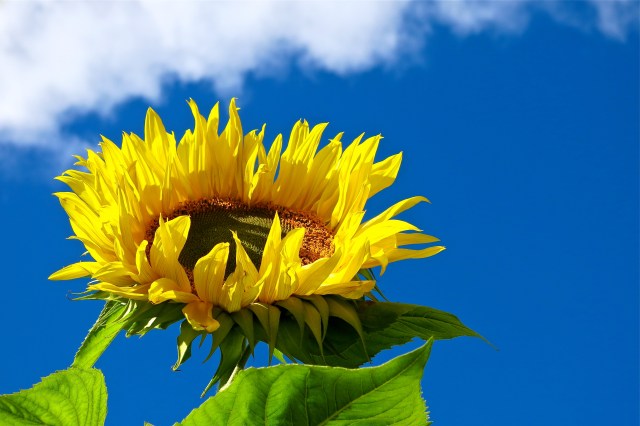 Your redemption draws near!