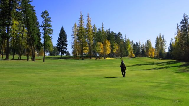 IMG_5318 Grandfather's shoulders