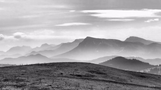 IMG_3467 burmis layer blue mtn bw