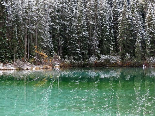 IMG_3675 olive lake 2