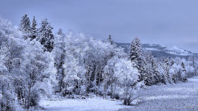 IMG_5567 jaffrey snow
