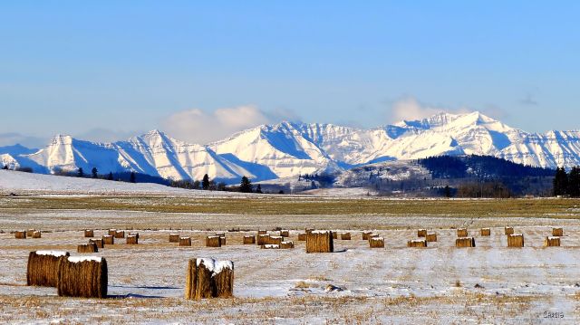 IMG_5692 Black Diamond hay mtn