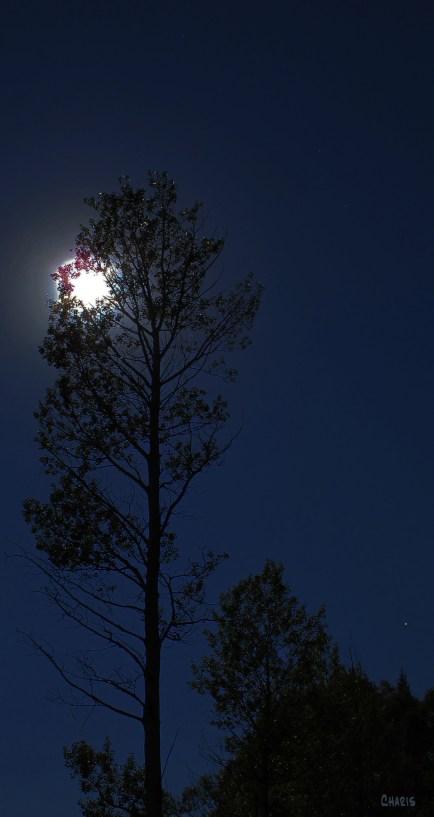 Midnight The Solemn Hour