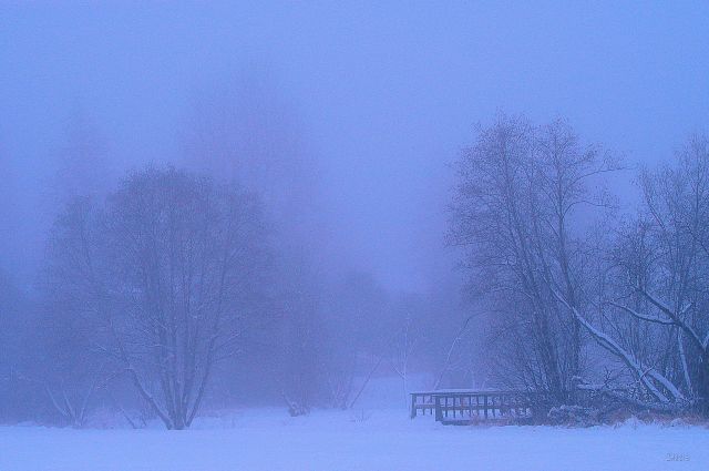 DSC_0180 kin park snow