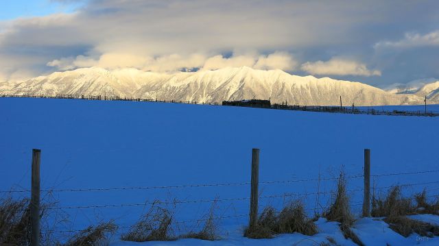 blue field white mountains IMG_6368