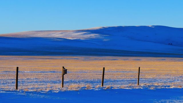 Cowboy Trail straw snow2
