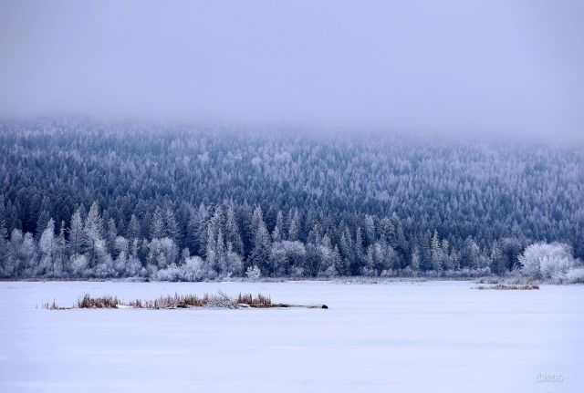 Elizabeth lake island IMG_6893