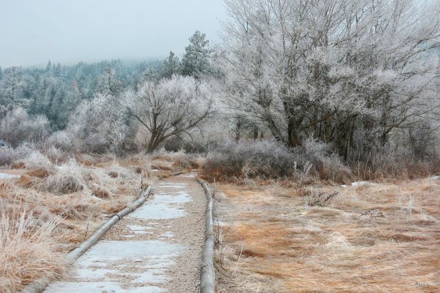 Elizabeth Lake trail 2 IMG_6907