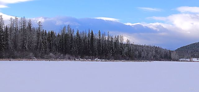 Winter Lake