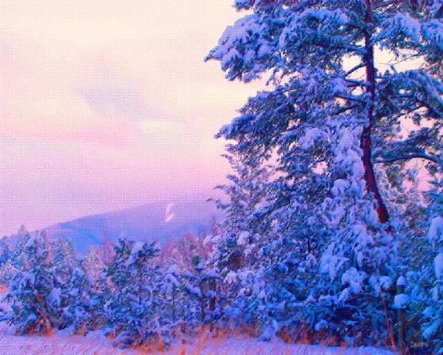 gentle winter pastel