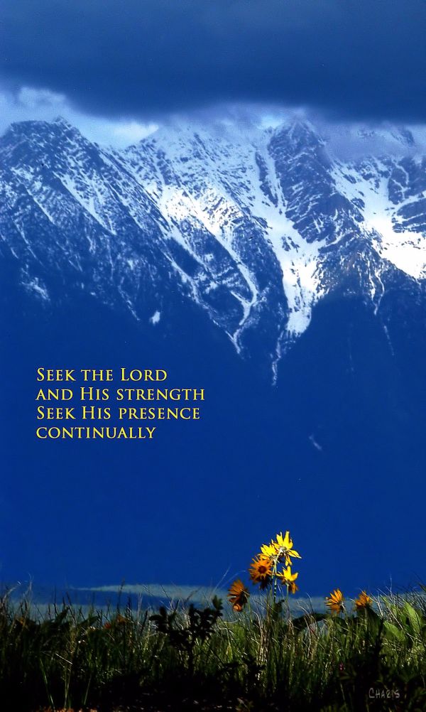 seek the Lord and his strength2 ch DSC_0818