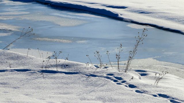 Wildhorse Creek snow ice IMG_7217