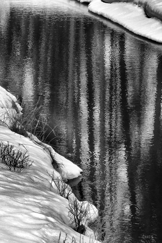 IMG_7324 Gold Creek March Thaw vertical