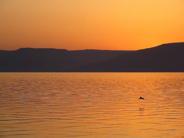 Dawn on the Sea of Galilee