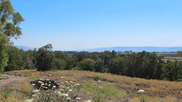 IMG_8347 Galilee view from Bethsaida