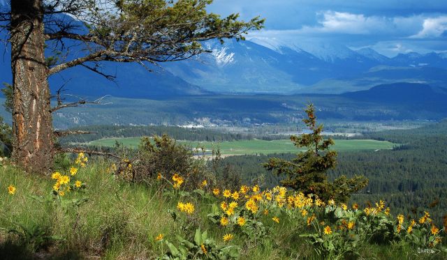 Eager Hill  southSC_0929ch