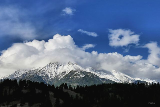 IMG_8579 Bull River rd head in the clouds mountain