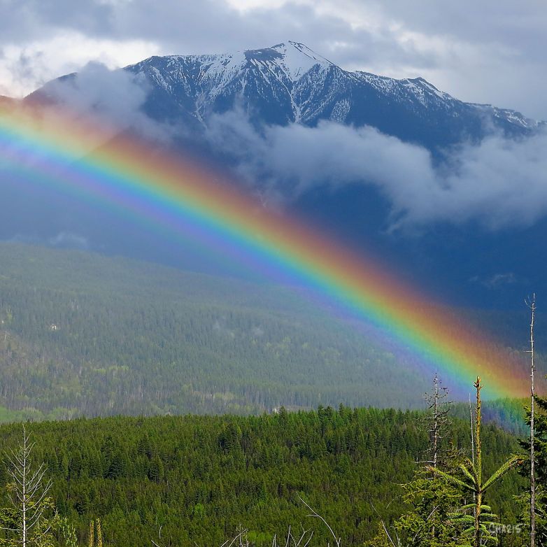 rainbow square IMG_9852 ch