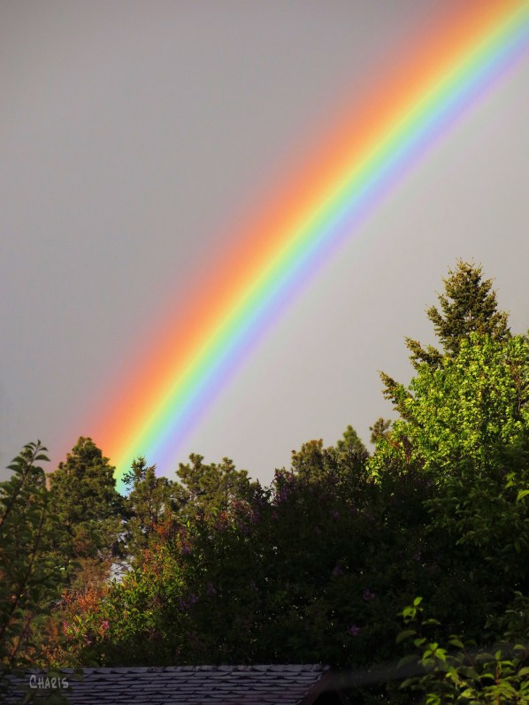 IMG_0230relentless reainbow