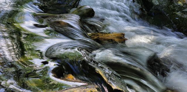 IMG_2341 joseph creek crop