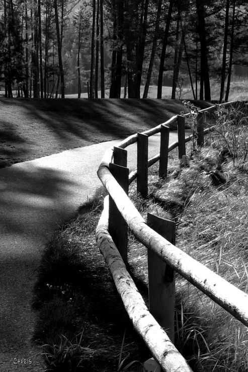 IMG_4686 shadow mtn railing2