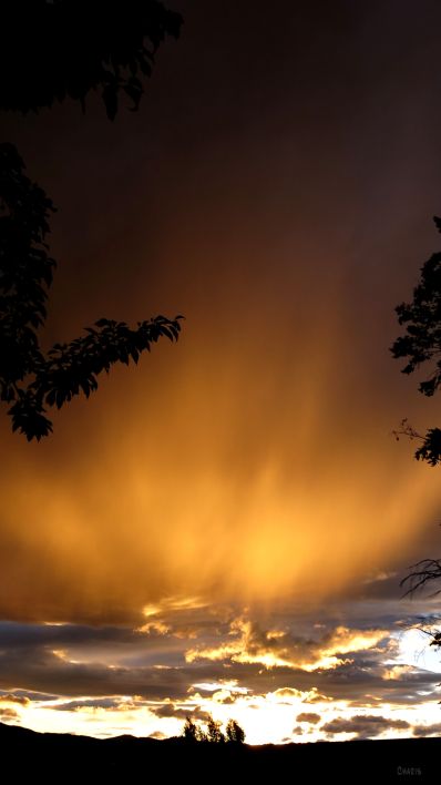 sunset vertical IMG_1669 ch