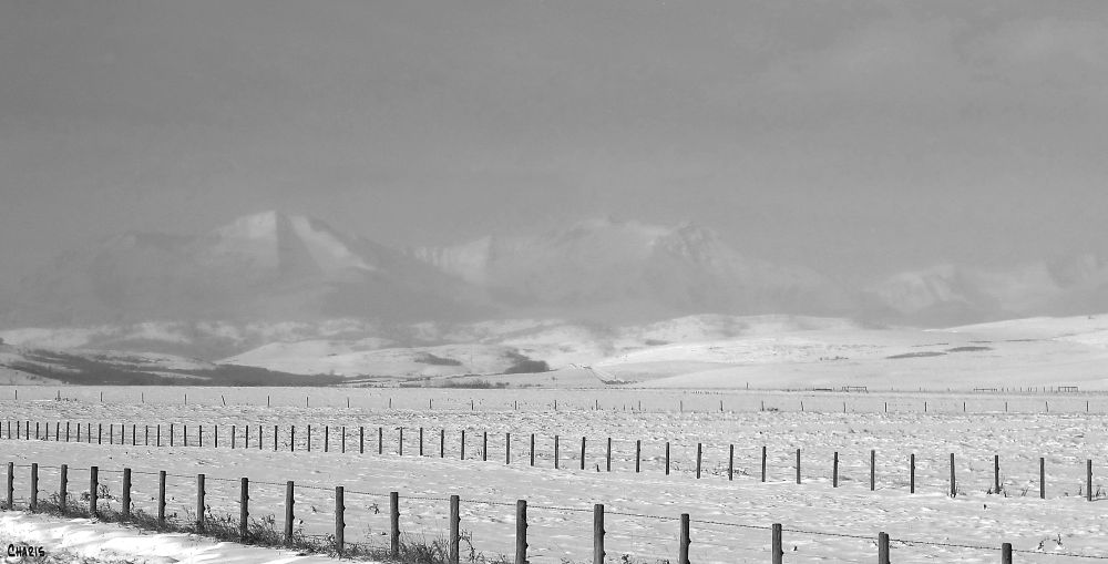 fences mtn fade bw corel