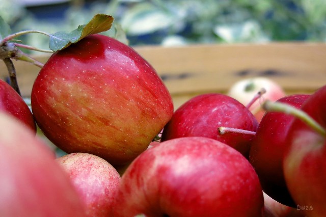 IMG_4936 apples_edited-1