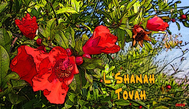 IMG_8485 pomegranate flowers l'shanah tova_edited-1