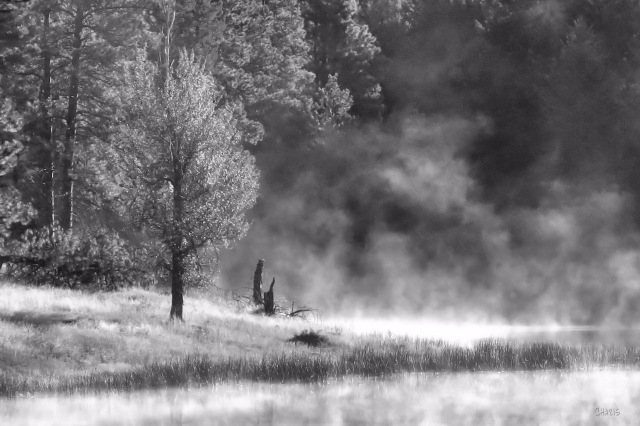 morning fog ft steele pond bw IMG_4863