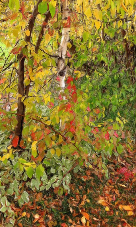 autumn foilage gouache