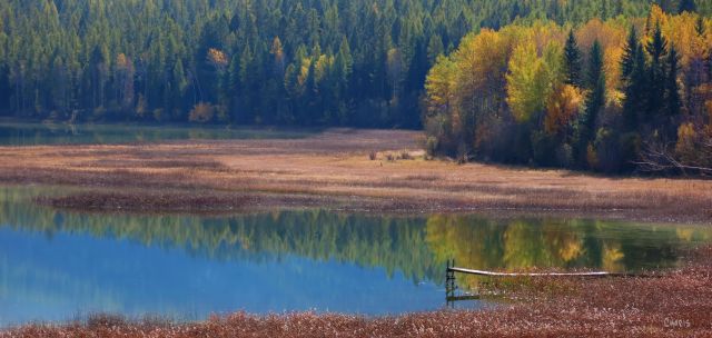 IMG_6064 mayook pond autumn reflect dock lake ch