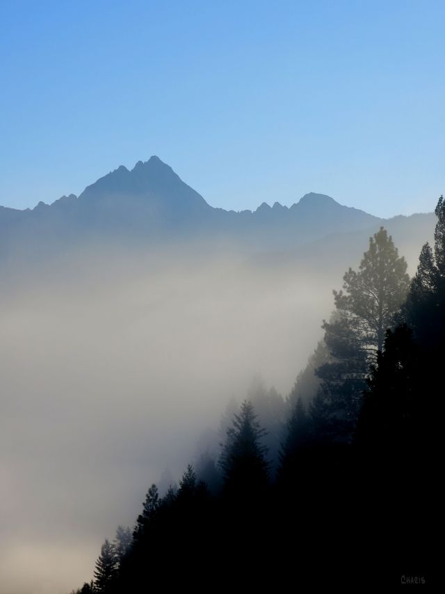 IMG_6586 Mt. fisher fog hwy
