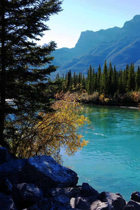IMG_6647 Bow river Canmore