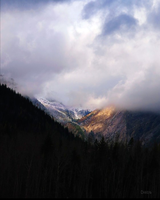 IMG_8597 ferni mountain fog colour ch crop