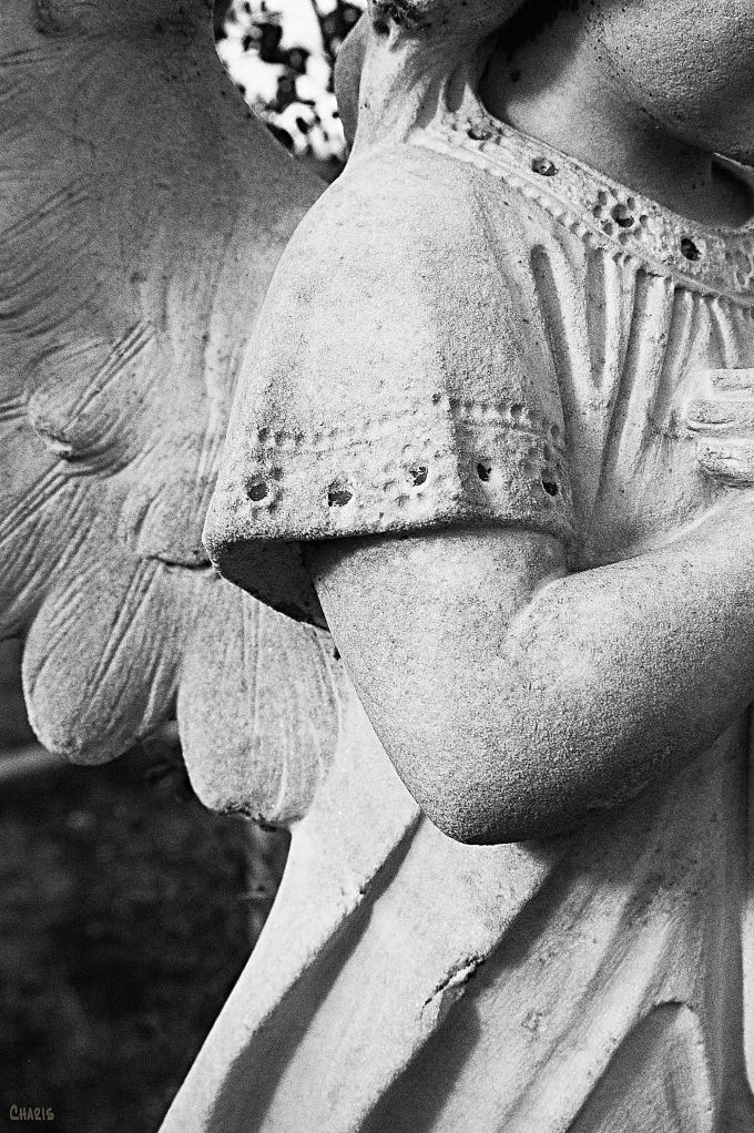 stone angel elbow bw ch