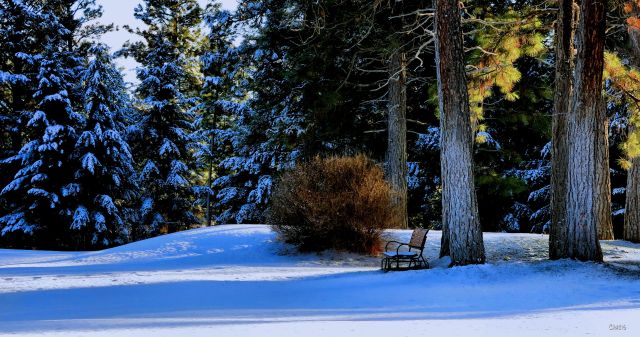 missions hills bench evergreen ch IMG_0132