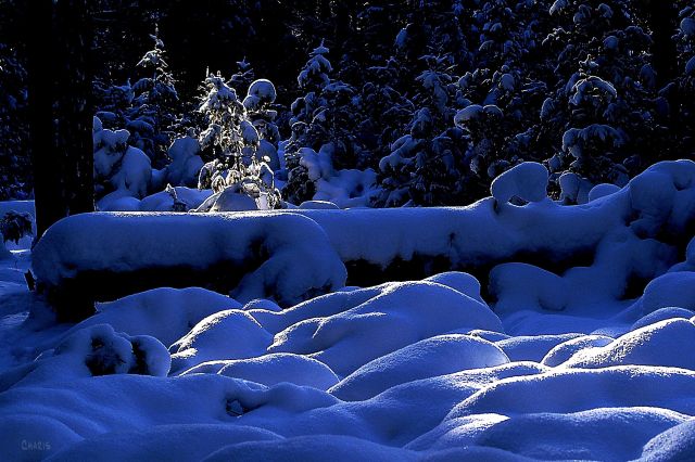 treelight snow mounds ch blue